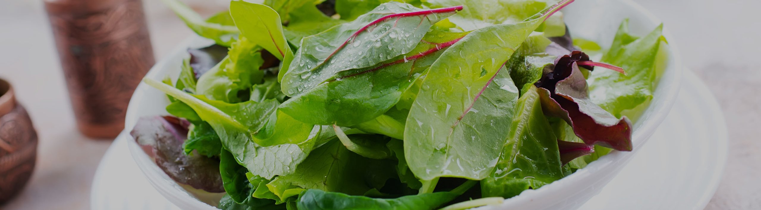 Grüner Salat mit Bautzner Kräuter Essig